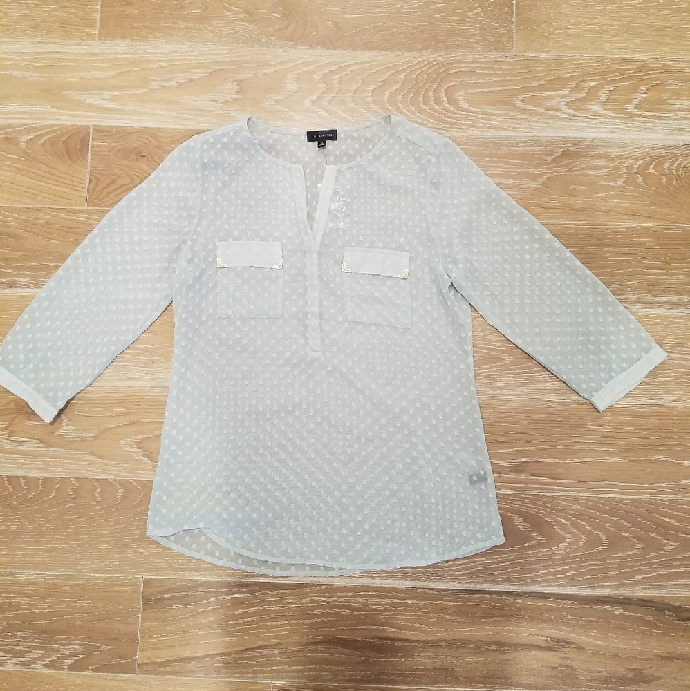 The Limited Blouse